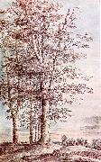 Landscape with Tall Trees dg